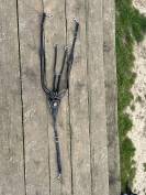 Collier de chasse