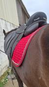 Selle de dressage 17,5