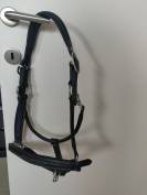 Licol cuir grooming noir HFI