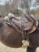 Sella maremmana bardella