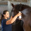 Farrierfly Spray Répulsif Longue durée - Essentiel Force 2