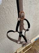 Licol CDG Horse equipment