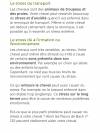 Pour le stress de votre cheval ou poney 