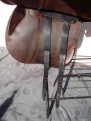 Sella da salto ostacoli Antarès  17.5" - 2021