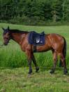 Tapis de selle Harvard  DRESSAGE TOMMY HILFIGER