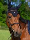 Bonnet anti-mouches Lexington - TOMMY HILFIGER