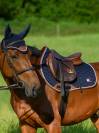 Tapis de selle Princeton MIXTE TOMMY HILFIGER