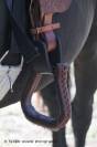 Selle western 