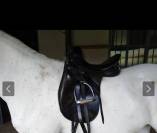 Sella dressage Kieffer