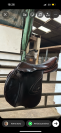 Selle prestige Carisma 17,5
