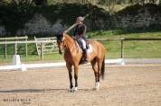 Dressage DHE Childeric 17’