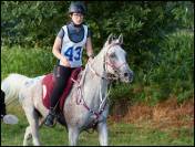 Bridon licol rênes collier de chasse martingale SP Fran