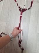 Bridon licol rênes collier de chasse martingale SP Fran