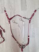 Bridon licol rênes collier de chasse martingale SP Fran