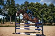 Tapis de selle Monaco Blue MIXTE - Equestrian Stockholm
