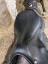 Selle forestier Séoul 
