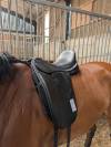 Selle dressage thorowgood