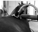 Machine de massages
