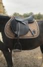 Selle Norton pro jump