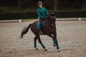 Tapis de selle emerald dressage - equestrian stockholm - tissu déperlant
