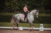 Tapis de selle pink pearl dressage - Equestrian stockholm - tissu déperlant