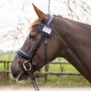 Porte num&eacute;ros shine - QHP - paillettes