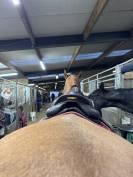 vente selle devoucoux biarritz O 