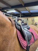 vente selle devoucoux biarritz O 