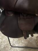 Selle childeric 16,5