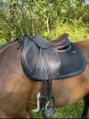 Selle Antares connexion 17,5 2019