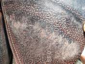 Selle obstacles CWD17"