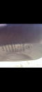 Selle Chiberta K 