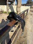 Selle Devoucoux Biarritz Lab