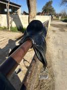 Selle Devoucoux Biarritz Lab