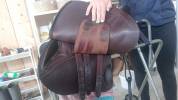 Selle forestier 