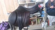 Selle forestier 