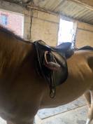 Selle thorowgood T4 