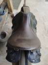 Forestier Trec