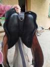 Forestier Trec
