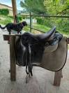 Forestier Trec