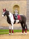Tapis de selle dressage loire classic ember - Lemieux - satin tissé