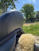Selle DEVOUCOUX Makila Lab
