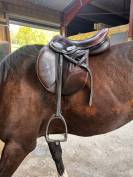 Selle OKLES 17,5'