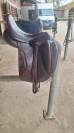 Antares Tempo dressage