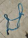 Ensemble cordelette et licol