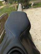 Selle d’équitation pessoa 