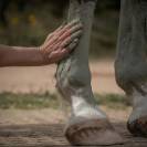 Cataplasme d'argile Drainage detox - Nellumbo