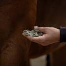 Cataplasme d'argile Drainage detox - Nellumbo