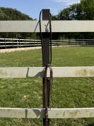 martingale taille poney