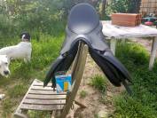 Selle Wintec 500 mixte 17'